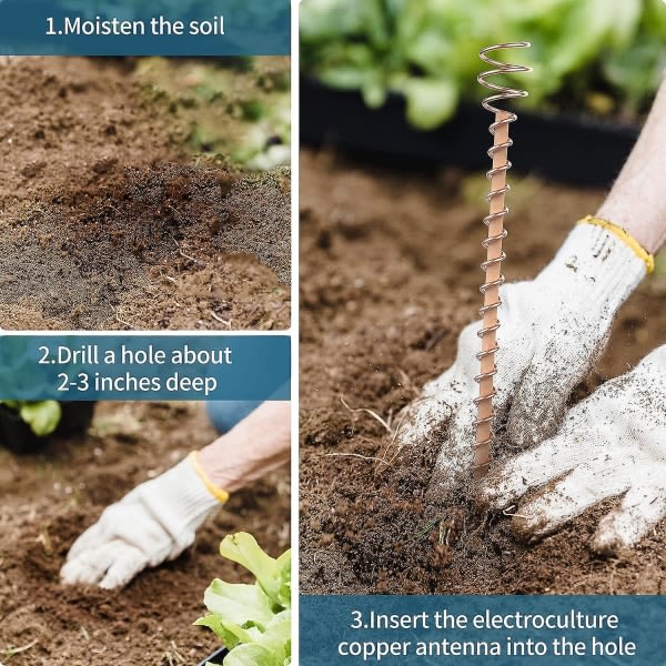 Elektrokultur plantepinne, kobbertråd plantesupportpinner Elektrokultur hagearbeid kobberspoleantenner for voksende planter - 6 stk