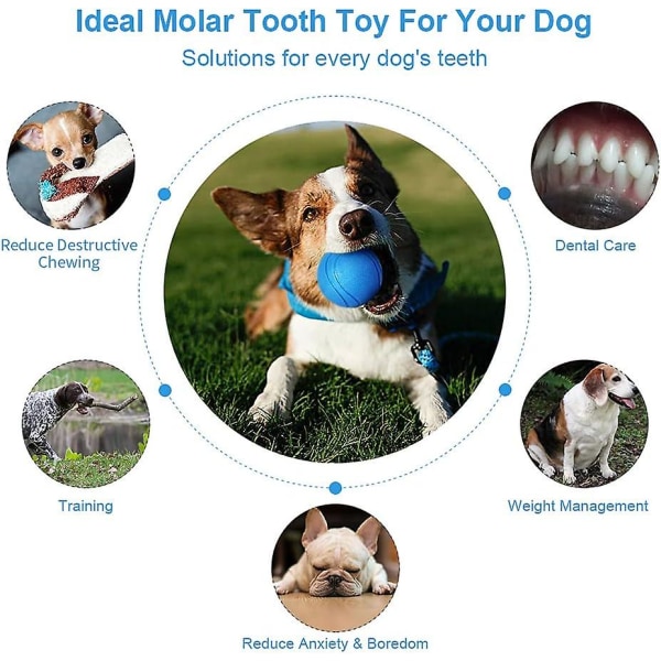 Koiran lelu, Pomppiva pallokoira, Interaktiivinen koiralelu, tuhoutumaton koiran pallo, luonnonkuminen koiran hampaiden puhdistuslelu, pennuille