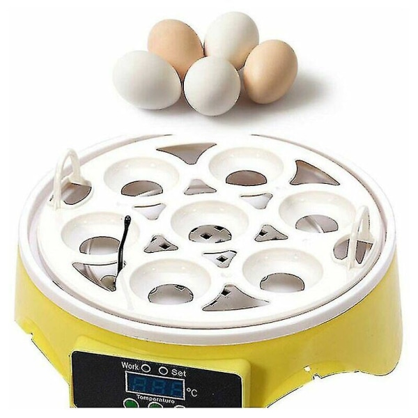 Temperaturkontroll Fjærkre Fugl Chicken Hatcher - Automatisk 7 Egg Incubator