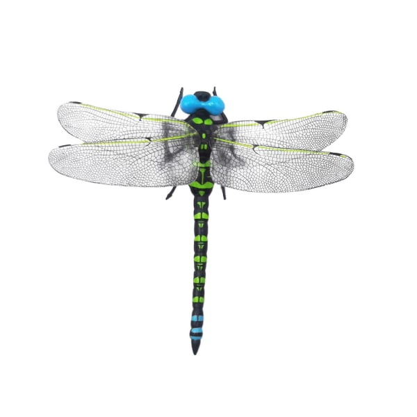 Prydnad Vardagsrum Tv-skåp Dekorationer Simulering Dragonfly Modell Dekoration Pvc utomhusprodukter Falsk Dragonfly Green
