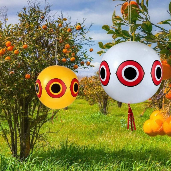 3-pack fågelavvisande ballonger med skräckögon, ballonger med skräckögon, ballonger med skräckögon, ögon med ögon och rep, 3 färger