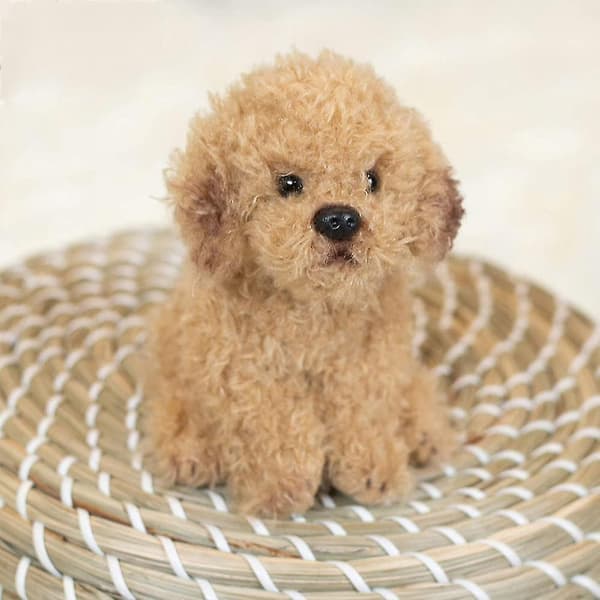 Labradoodle-pentu, pieni pehmolelu, 7,8 tuumaa