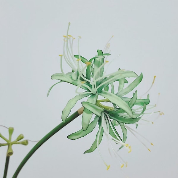 5 stk Spider Lilies Kunstige Lycoris Pærer Med Lang Stilk Real Touch Til Hjemmekontor Hotel Stue dekoration Green