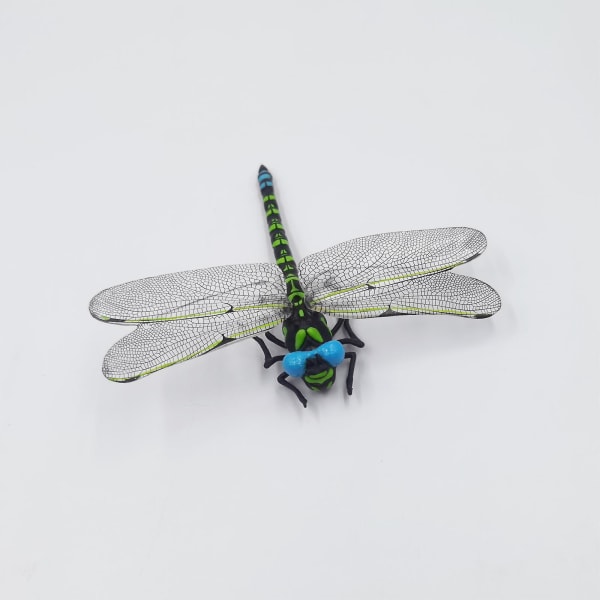 Ornamentti Olohuoneen Tv Kaappi Koristeet Simulaatio Sudenkorento Malli Sisustus PVC Ulkoilu Tuotteet Fake Dragonfly Green