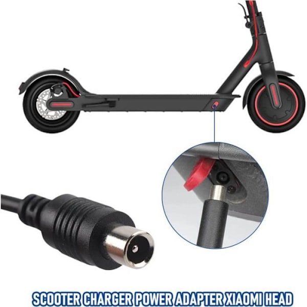 Oplader - M365 - 42V 2A - Kompatibel med Ninebot - Hurtig og sikker opladning