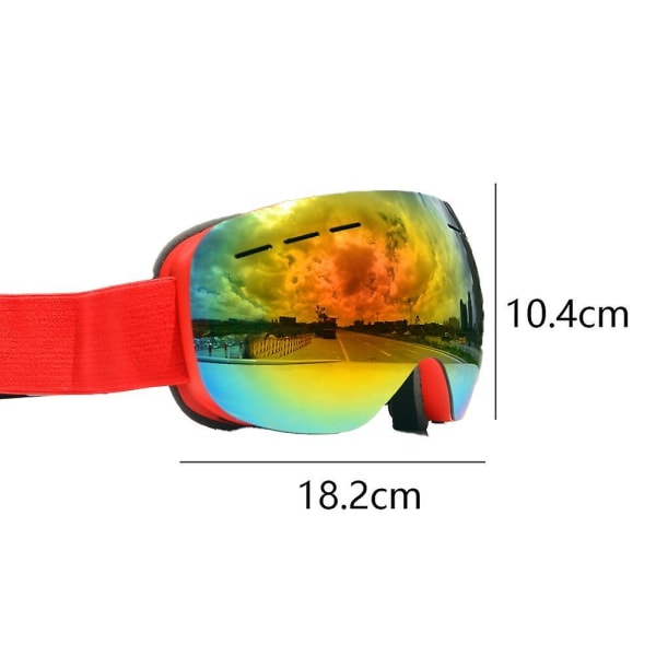 Women's And Men's Ski Goggles Pro