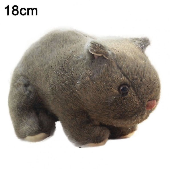 Käytännöllinen puuvillainen pehmotäytetty wombat-lelu valokuvaustarvike täytetty wombat-lelu Ihana ulkonäkö olohuoneeseen 18cm Brown