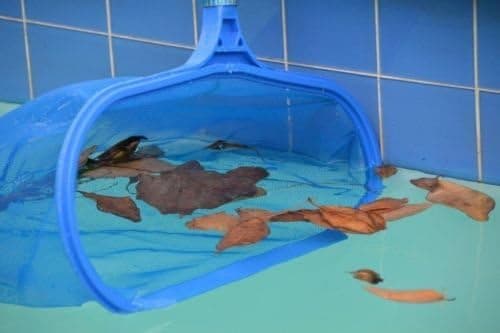 Dyp løvnetpose med kort stang