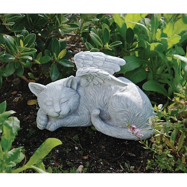Katt Engel Kjæledyr Minnesmerke Gravstein Hyllest Statue Katt Statue