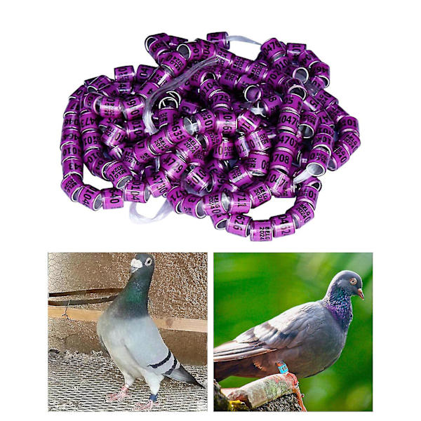 100 st Pigeon Dove Benringar 2024 Identifiera Band Fåglar Fot Ring Liten Storlek Lätt Återanvändbar Ljusa Färger Och Nummer Identifiera Ring-e