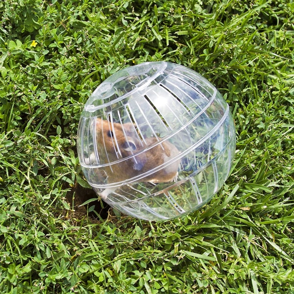 Hamsterball, Løpekule for Hamster og Mus, Bevegelse, Gnagerleketøy for Løping, Plast, 15cm, Transparent