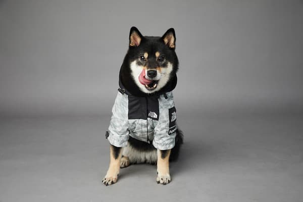 Wabjtam Hundjacka, Husdjursjacka, Hundregnrock-l