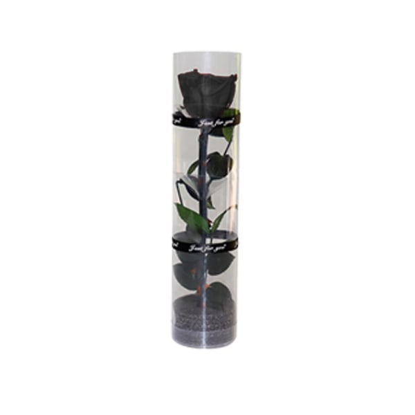 En ægte bevaret rose, evigvarende rose, holdbar rose, evig blomstrende rose sort