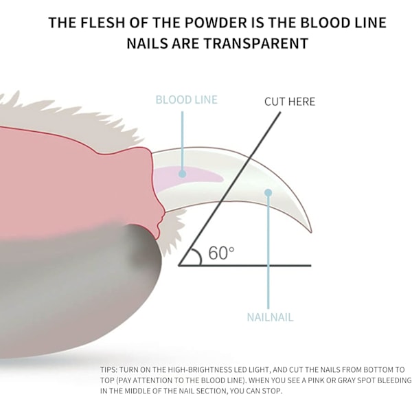 Lemmikkikoiran ja -kissan kynsileikkurit, koiran kynsileikkurit LED-valoilla, ammattimaiset kauneudenhoitotyökalut, sopii pienille koirille, kissoille ja kaneille Blue