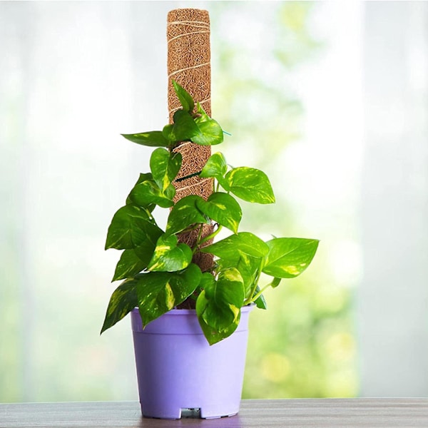 Taivutettavat kookospähkinäkuitu kasvitukikepit, kasvitukikepit juna Monstera Philodendron Pothos Kiipeilykasvit Kasvavat | Ruukku Kasvituki Juna Ind
