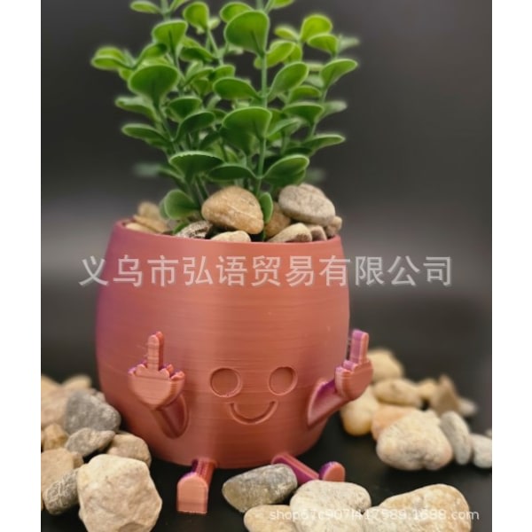 Heeky Smiley krukväxt - bedårande blomkruka med lekfullt långfingerdesign - unik planter för suckulenter - rymmer små växter brown