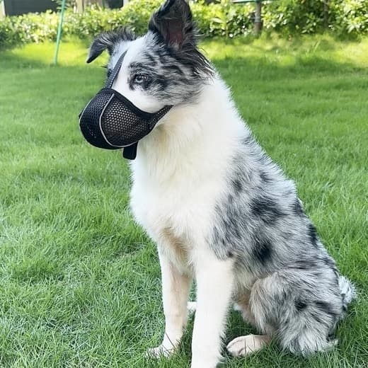Justerbar hundemundkurv - Åndbar, reflekterende sort M Black M