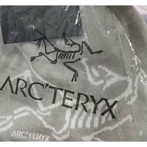 Mössa ARC'TERYX Herr Mössa Casual Varm Vinter Skidmössa Ljusgrå