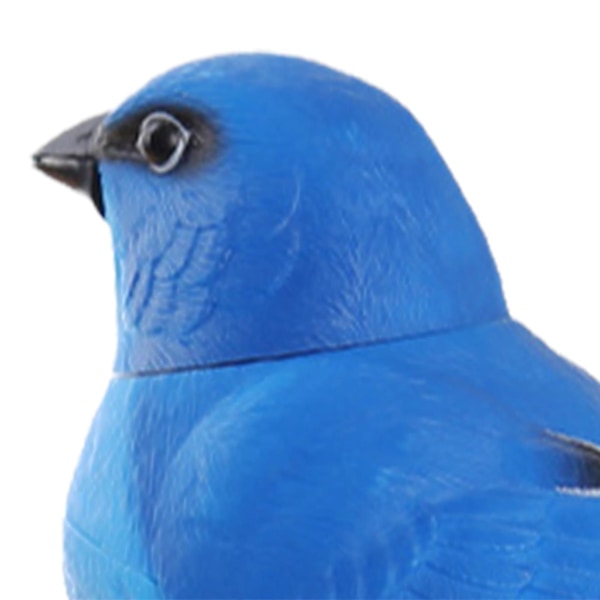 Papegøje Fuglebur Legetøj Elektrisk Syngende og Kvidrende Fuglelegetøj til Børn Amerikansk Gulddompap Blue Tit 13.5cmx9cm