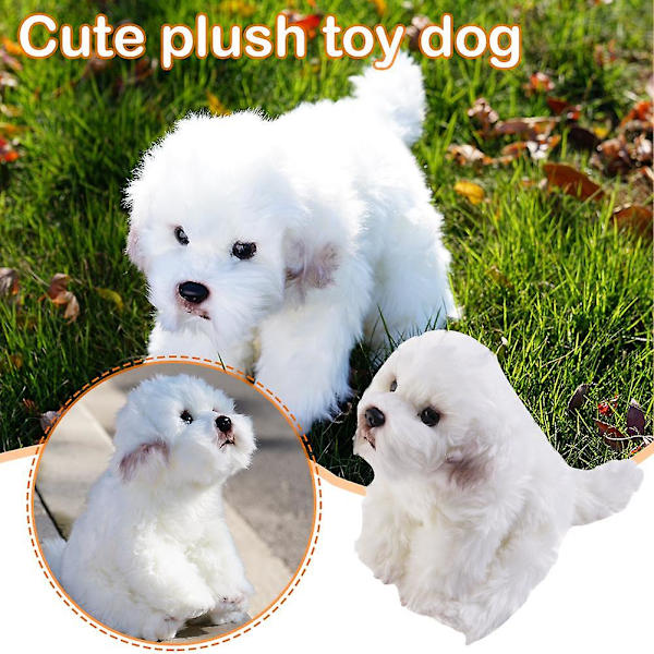 Bichon Frise Pehmolelu Koiranpentu Täytetty Eläin Koira Söpö Simulaatio Lemmikit Pörröinen