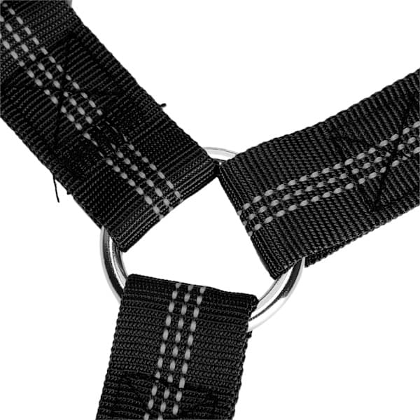 Justerbart nackstöd Säkerhetsbälte för husdjur Hund Nylon Reflex Säkerhetsbälte för bil Svart