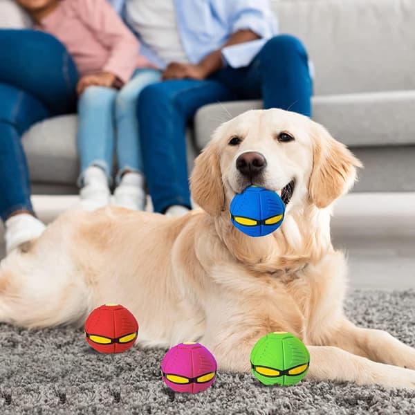 Flyvende underkop-bold til kæledyr, underkop-bold til hunde, flyvende underkop-bold til kæledyr, flyvende underkop-hundelegetøj, egnet til katte og hunde (almindelig model, blå)