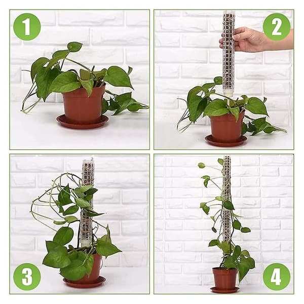 6 st Plast Moss Pole 15 tum Transparent Moss Mesh Pole Liten Moss Pole Stake För Växter Monstera