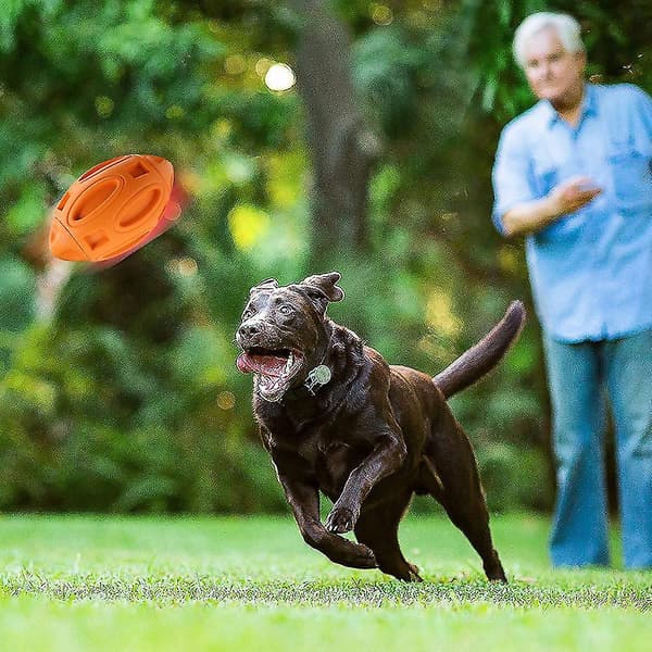 Hundleksaker oförstörbara hund leksaker intelligens hund leksaker boll hållbara hund leksaker