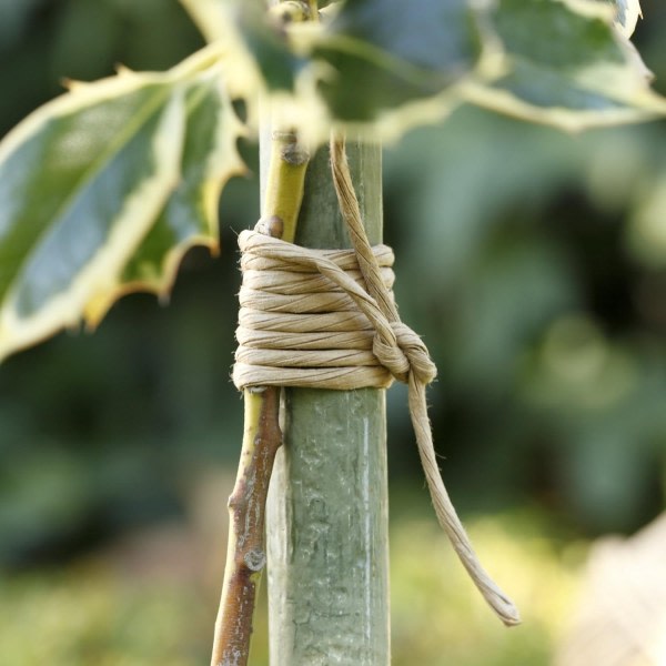 2mm Paper + Natural Iron Wire 200m, Natural Tinted Reinforced Paper Wire for Paper Poetry, DIY, Gardening