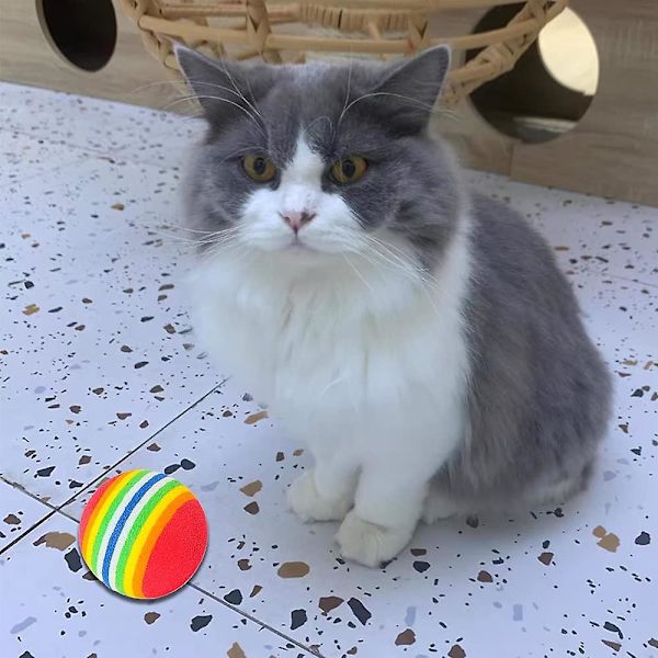 20 st Heilwiy husdjur katt leksak boll regnbåge mjuk skum boll husdjursträning leksaker boll för inomhusgåva