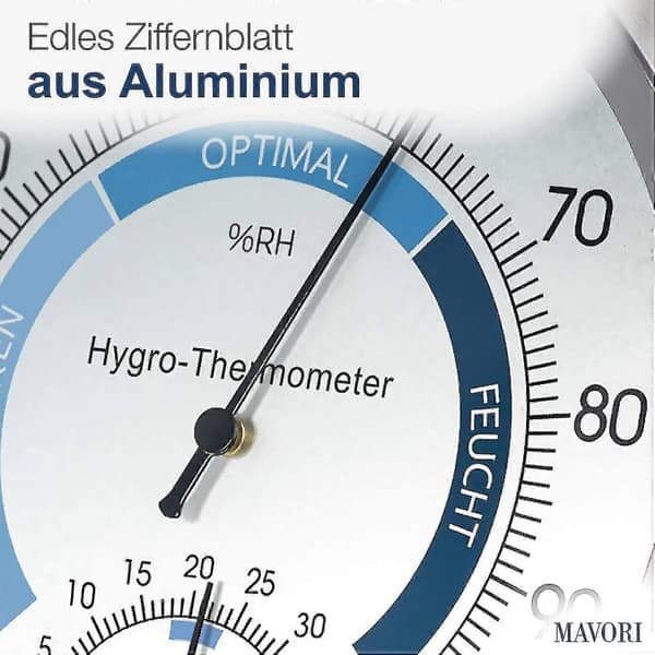 Analog hygrometertermometer til indendørs brug - Hygrometer og rumtermometer i rustfrit stål