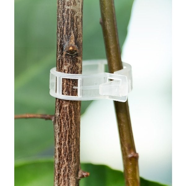 200 sett gjenbrukbare plastclips for planteclips / sengclips /