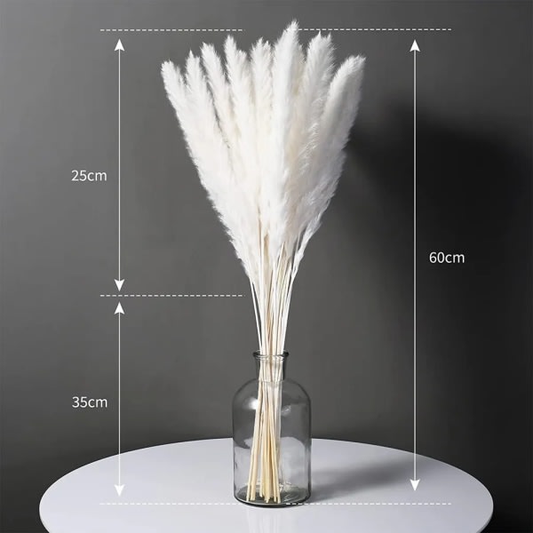 30 x Dried pampas grass dried flowers natural flower bouquet home decor photography wedding white