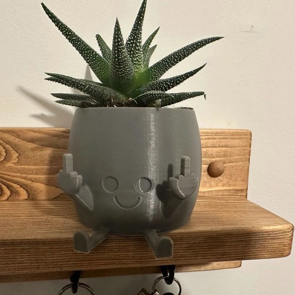 Heeky Smiley krukväxt - bedårande blomkruka med lekfullt långfingerdesign - unik planter för suckulenter - rymmer små växter brown
