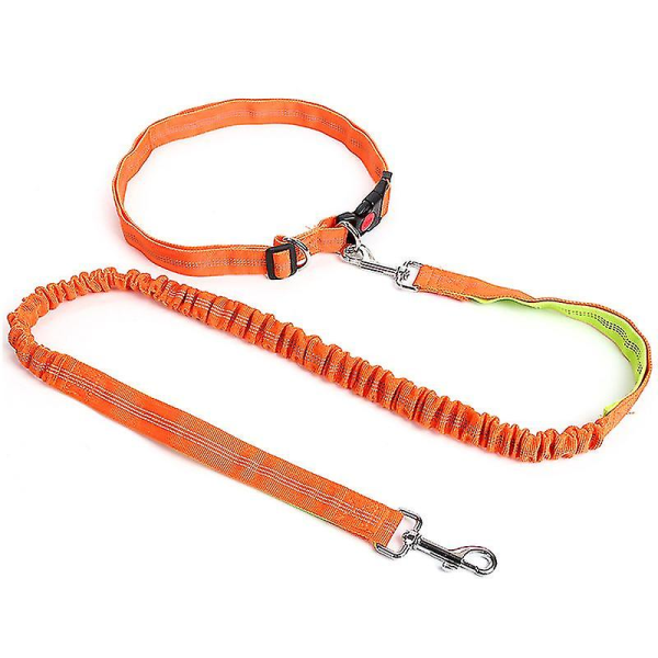 Dog Leash Elastic Nylon Pet Running Leash Walking Dog Leash Pet Leashes