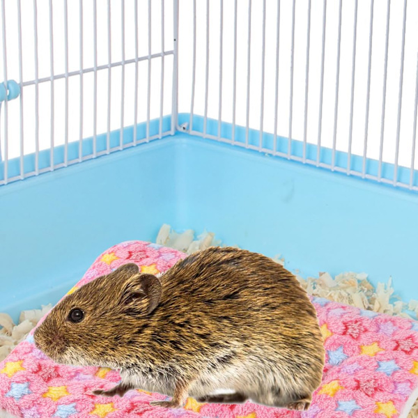 3 st smådjursbäddar av plysch, varm och fluffig valpbädd, fleece-sovmössa, marsvinsbädd, hamsterbädd, kaninmadrass för kattungar, chinchilla, ekorre