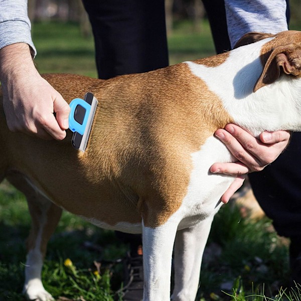 Fjernelse af fældepels Værktøj Hundebørste Pels Pleje Børste Dematting Kam Hund Fjernelse af fældepels Hund Kat Børste Fjernelse af løst hår til kort medium og langhåret kæledyr