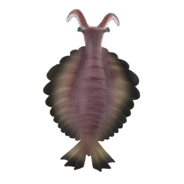 Realistisk statisk havsdjur modell leksak barn present Anomalocaris