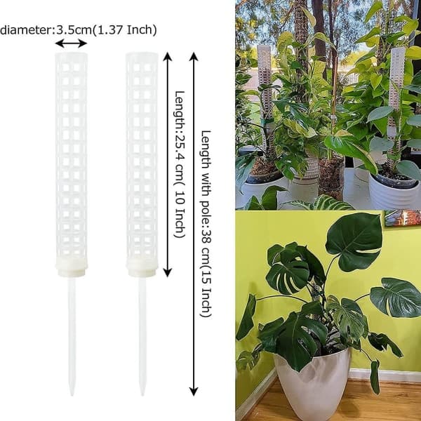 6 stk Plast Moss Pole 15 Tommer Transparent Moss Mesh Pole Liten Moss Pole Stake For Plants Monstera