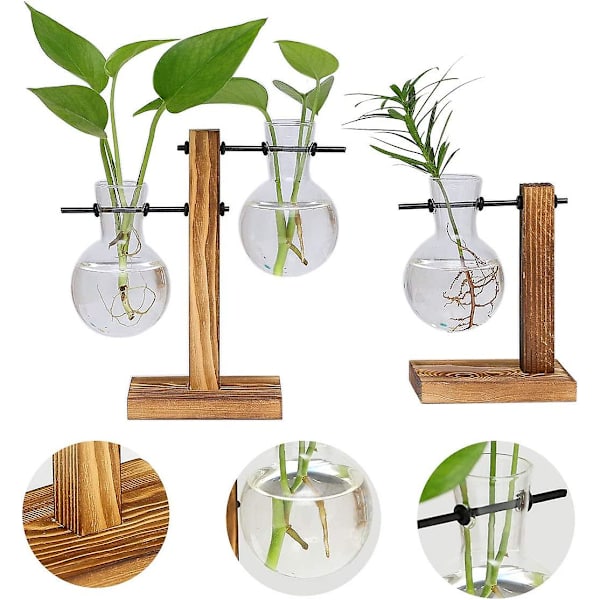 2-pack växtterrarier med trästativ, luftväxtkruka, glasvas, förökningsstation, (3 glödlampvaser)