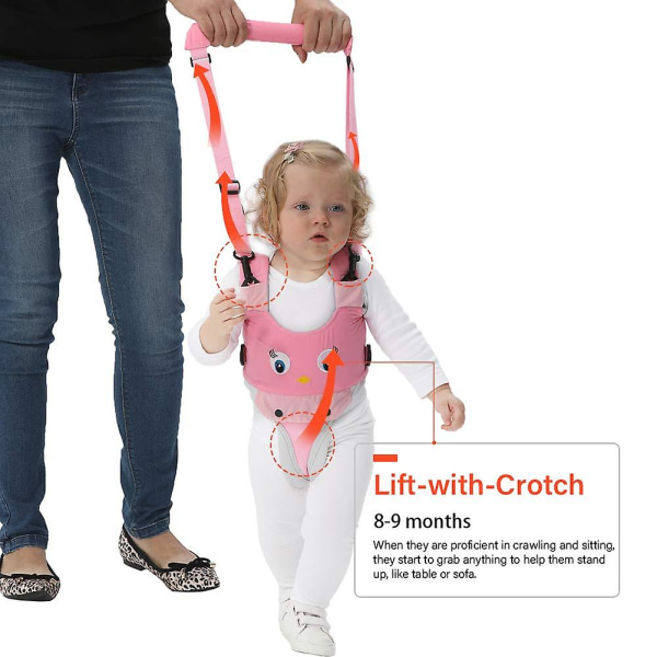 Kädessä pidettävät baby kävelyvaljaat lapsille, säädettävä toddler kävelyavustaja irrotettavalla haaralla, turvallisen seisomisen ja kävelyn oppimisapu 8+ kuukaudeksi
