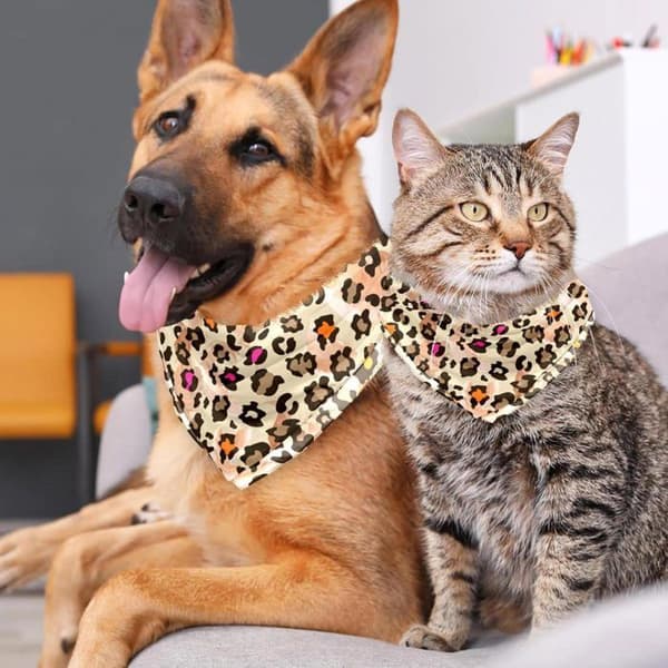 Sæt med 2 hunde-bandanaer - Leopardprint - Tilbehør til små, mellemstore og store hunde