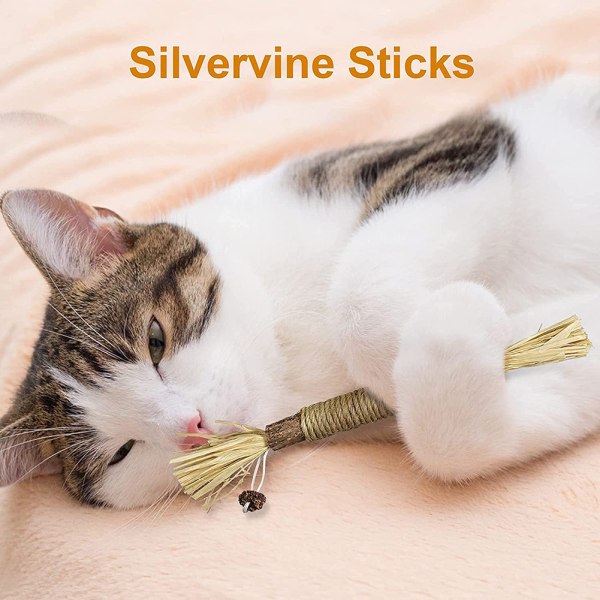 ST/3 ST/5 ST Kattmynta Kattleksaker Tuggpinnar för katt Naturliga Silvervine husdjurständer 1 st 1 st gallfrukter 1pcs