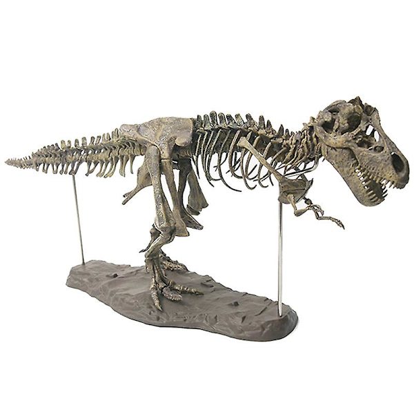 Tyrannosaurus Rex Skelett Dinosaurie Djur Samlare Dekor Modell Leksak