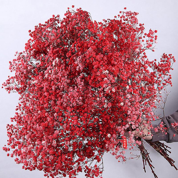 Naturliga färska torkade blommor Gypsophila Bukett Bröllop Heminredning ROSE RED