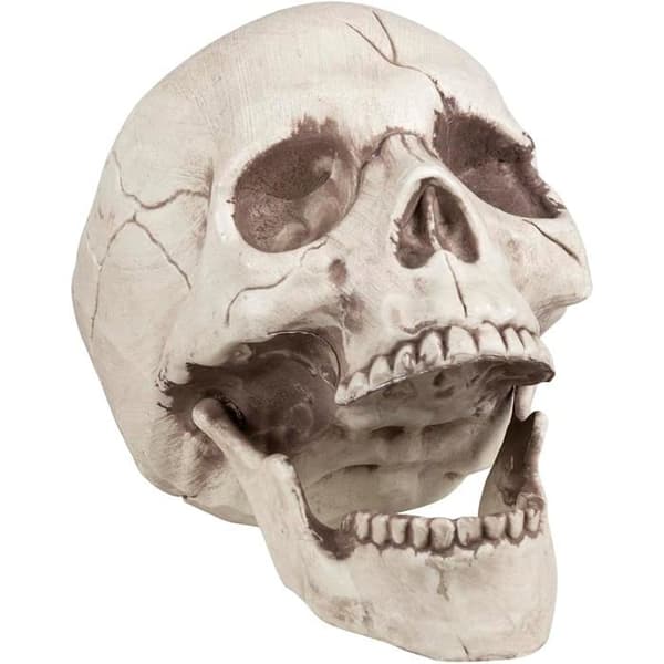 En dekorativ dödskallekäke, perfekt för Halloween.