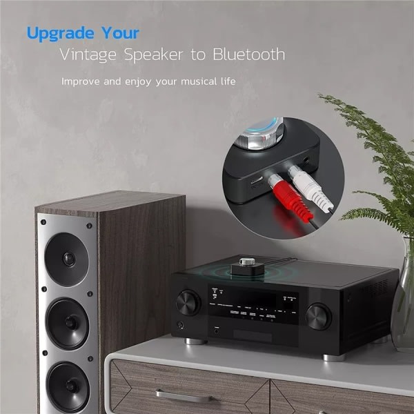 Bluetooth 5.0 Audio RCA-mottagare - WELLNGS