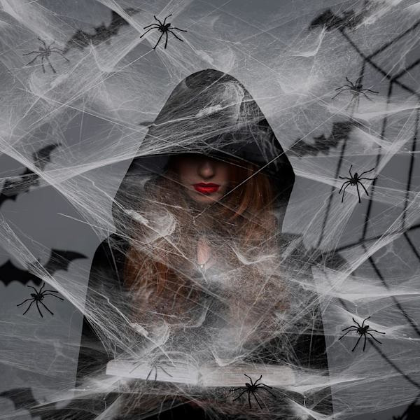 50M² 300g Halloween Spindelnät Sträckbart Spindelnät med 50 st Små Spindlar Halloween Inomhus Utomhus Dekorationer