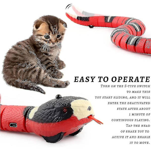 1 st. Katt Leksak Orm, USB Smart Leksak Orm, Elektrisk Orm Leksak, Intelligent Känsel Orm Katt Leksaker, Interaktiv Katt Orm Leksak, Katt Smart Känsel Leksaker