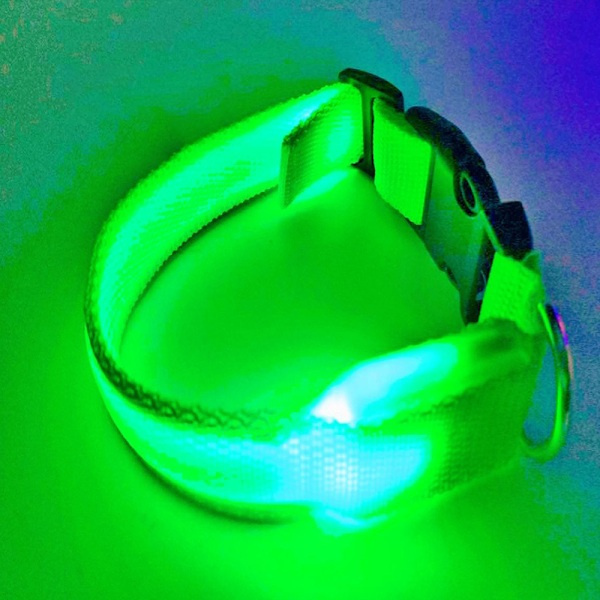 LED hundehalsbånd, oppladbart, lysende, justerbart, refleks